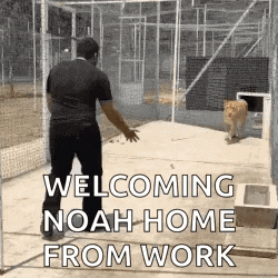 a man is standing in front of a cage with a dog and says `` welcome noah home from work '' .
