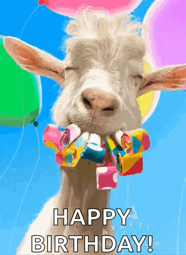 happy-birthday.gif