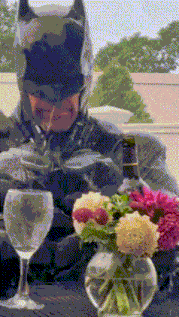 Batman Wine GIF - Batman Wine Drink GIFs