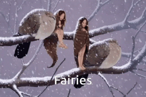 Fairies GIF - Fairies GIFs