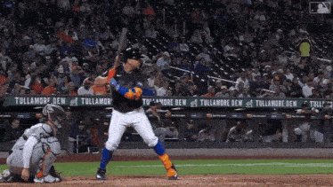 a baseball player is at bat in front of a banner that says tullamore dew on it