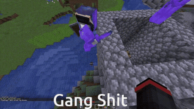 a screenshot of a video game with the words gang shit on the bottom