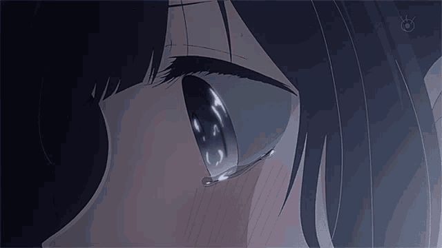 a close up of a girl 's eye with a tear running down it