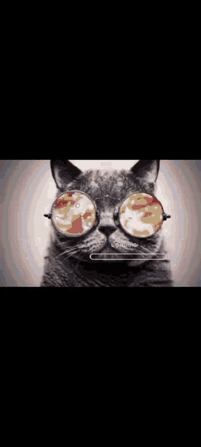 a cat wearing glasses with a reflection of a person 's face
