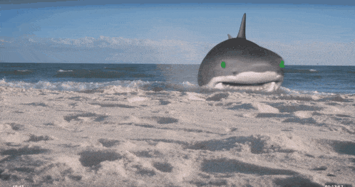 Shawn Breezy Alien Shark GIF - Shawn Breezy Alien Shark Dog GIFs