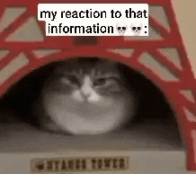 a cat is sitting in a cat house in front of a strange tower .