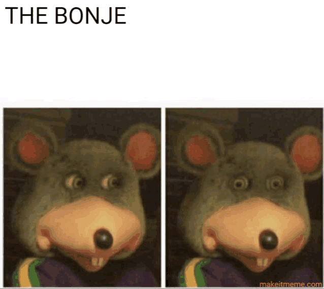 a picture of a stuffed animal with the words the bonje on it