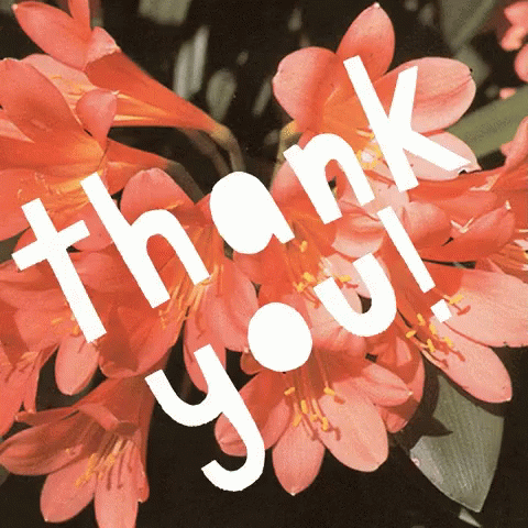 Thank You Flowers GIF - Thank You Flowers Twinkling GIFs
