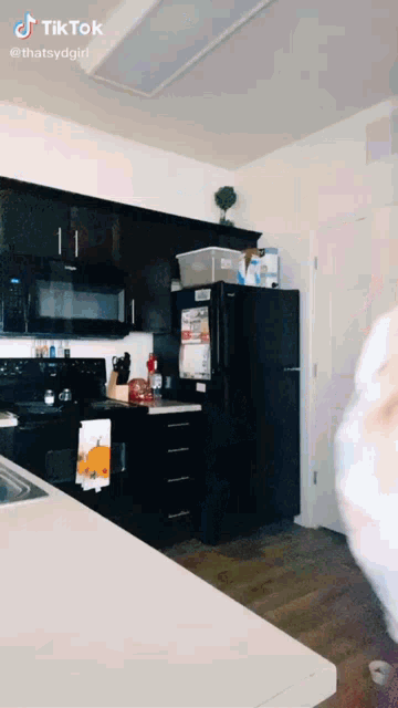 a kitchen with black cabinets and a black refrigerator that says tik tok