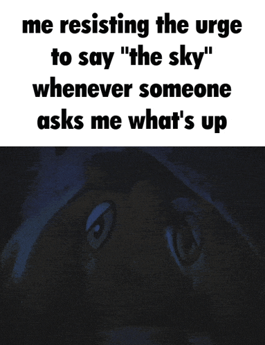 a poster that says me resisting the urge to say the sky whenever someone asks me what 's up