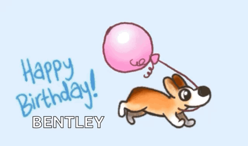 Happy Birthday Balloon GIF - Happy Birthday Balloon Dog GIFs