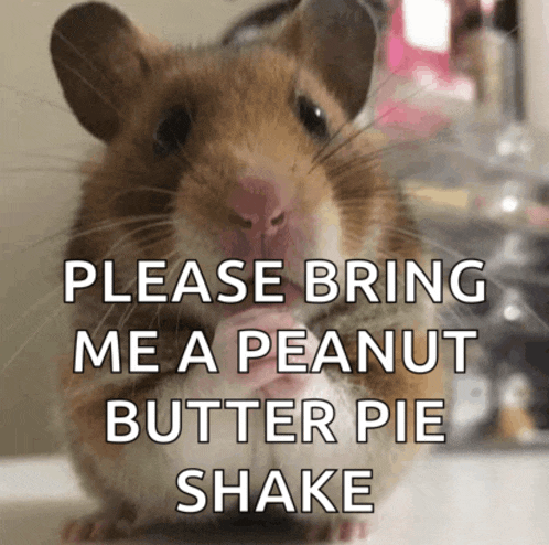 a picture of a hamster with the words please bring me a peanut butter pie shake below it