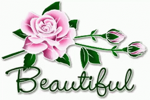 Beautiful Flower GIF - Beautiful Flower Pink GIFs