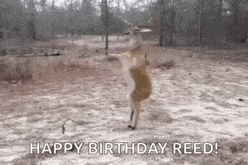 a deer is standing on its hind legs in a field and dancing .