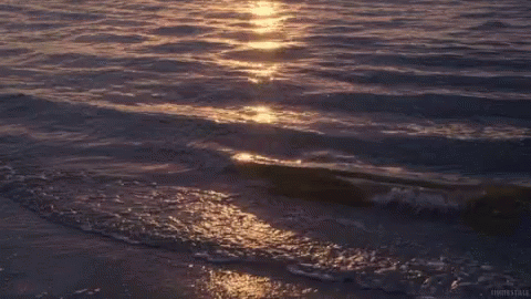 Waves Beach GIF - Waves Beach Ocean GIFs