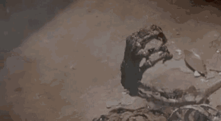 a skeleton is laying on the ground with a stick sticking out of it