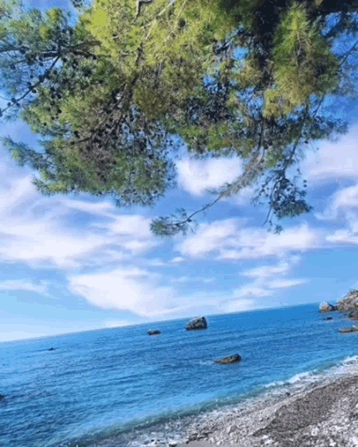 a painting of a beach with a tree in the foreground and the ocean in the background