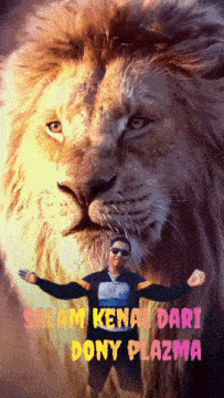 a man is standing in front of a lion with the words salam kenal dari dony plazma
