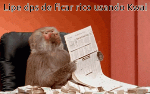 Lipe Rico Lipe Kwai GIF - Lipe Rico Lipe Kwai Monkey Money GIFs