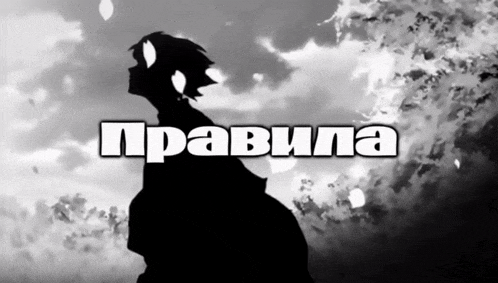 a silhouette of a person with the words " pravila " written above them