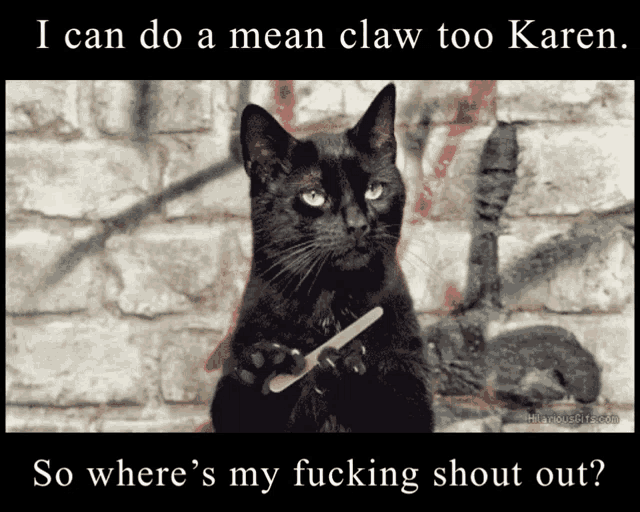 Shout Out Cat GIF