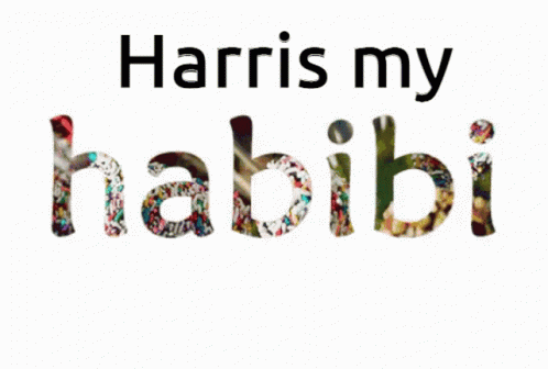 Harris Habibi GIF - Harris Habibi Harris My Habibi GIFs