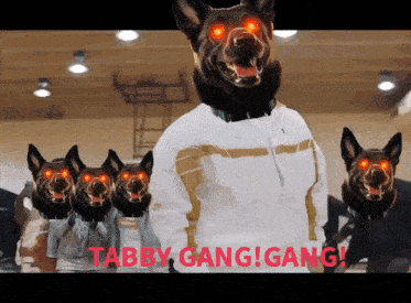 a man with a dog head is surrounded by dogs with red eyes and the caption tabby gang gang