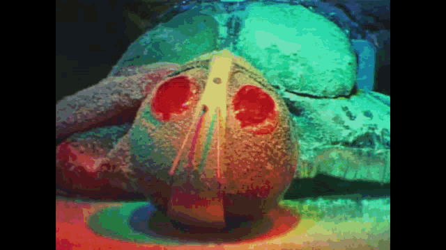 a pixelated image of a turtle with red eyes and a white nose