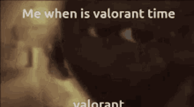 a picture of a horse with the words me when is valorant time valorant