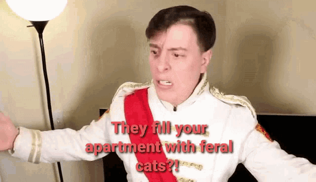 Feral Cats GIF - Feral Cats Sanders GIFs