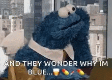 Cookie Monster Waiting GIF - Cookie Monster Waiting Wait GIFs