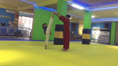 Taekwondo Kicking GIF - Taekwondo Kicking Kicks GIFs