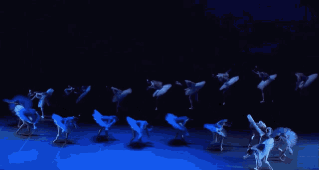 a bunch of ballerinas are dancing on a stage