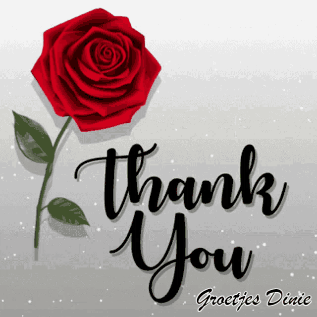 a thank you card with a red rose in the background