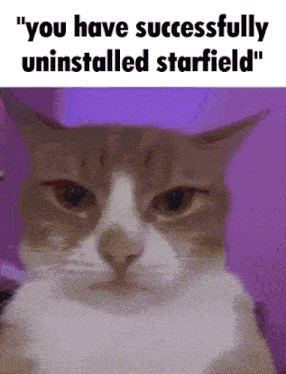 Starfield Bethesda GIF - Starfield Bethesda Uninstall GIFs