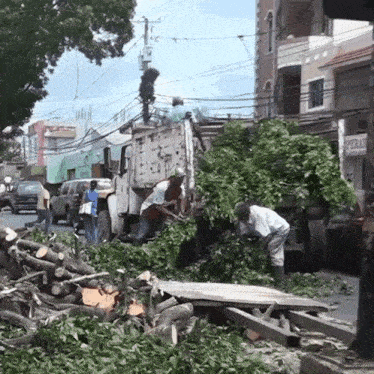 a group of men are working on a pile of leaves on the side of a road
