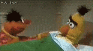 Sesame Street Bert GIF - Sesame Street Bert Ernie GIFs