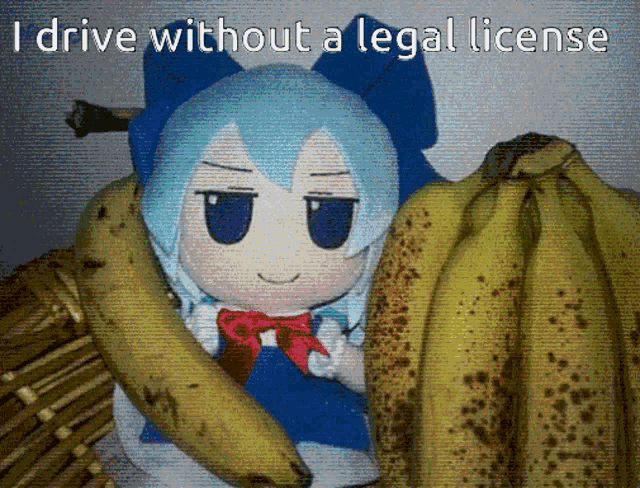 a stuffed doll is holding a bunch of bananas with the words i drive without a legal license