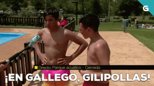 Gallego En Gallego Gilipollas GIF - Gallego En Gallego Gilipollas Tvg GIFs