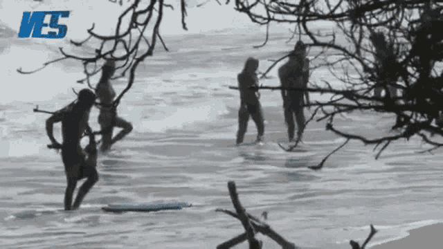 a group of people standing in the water with the letters ves on the bottom right