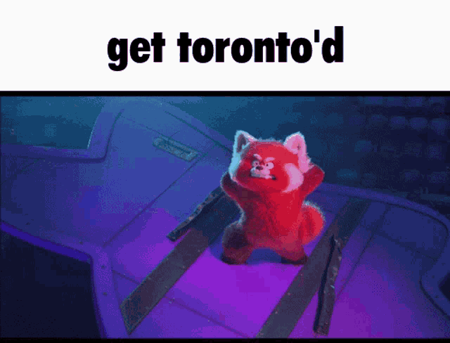 a red panda is running down a set of stairs with the words get toronto 'd above it