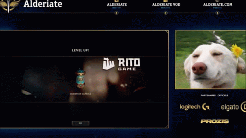 Alderiate Rito Game GIF - Alderiate Rito Game Streaming GIFs