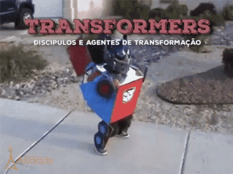 Transformerskid GIF - Transformerskid GIFs