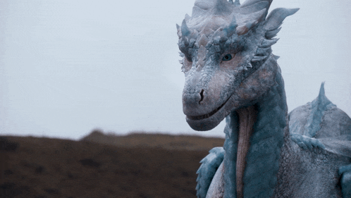 a close up of a dragon 's face with a blurred background