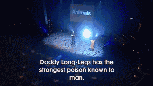 daddy long legs has the strongest poison known to man written on a stage