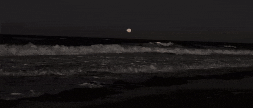 a full moon is rising over the ocean at night