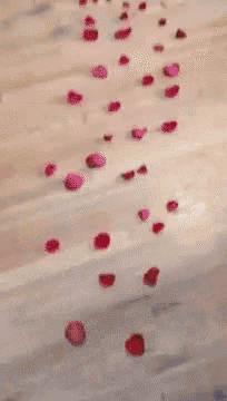 a row of red rose petals are laying on a wooden floor .