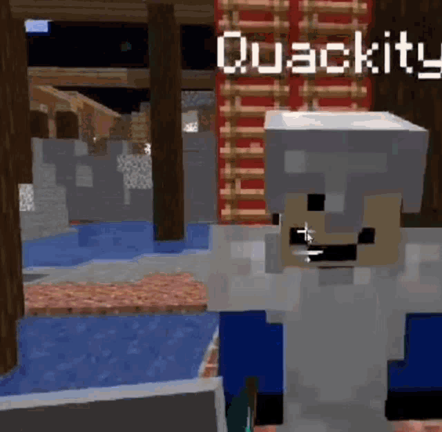 Quackity Quackityhq GIF - Quackity Quackityhq Minecraft GIFs
