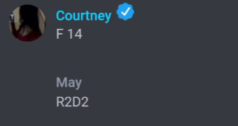 a picture of courtney f14 and may r2d2 on a gray background
