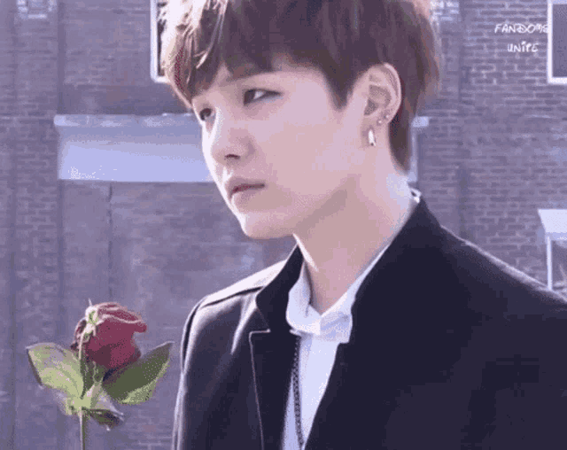 a close up of a person holding a red rose